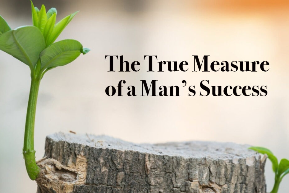 A small tree reshoots from below where it was cut off